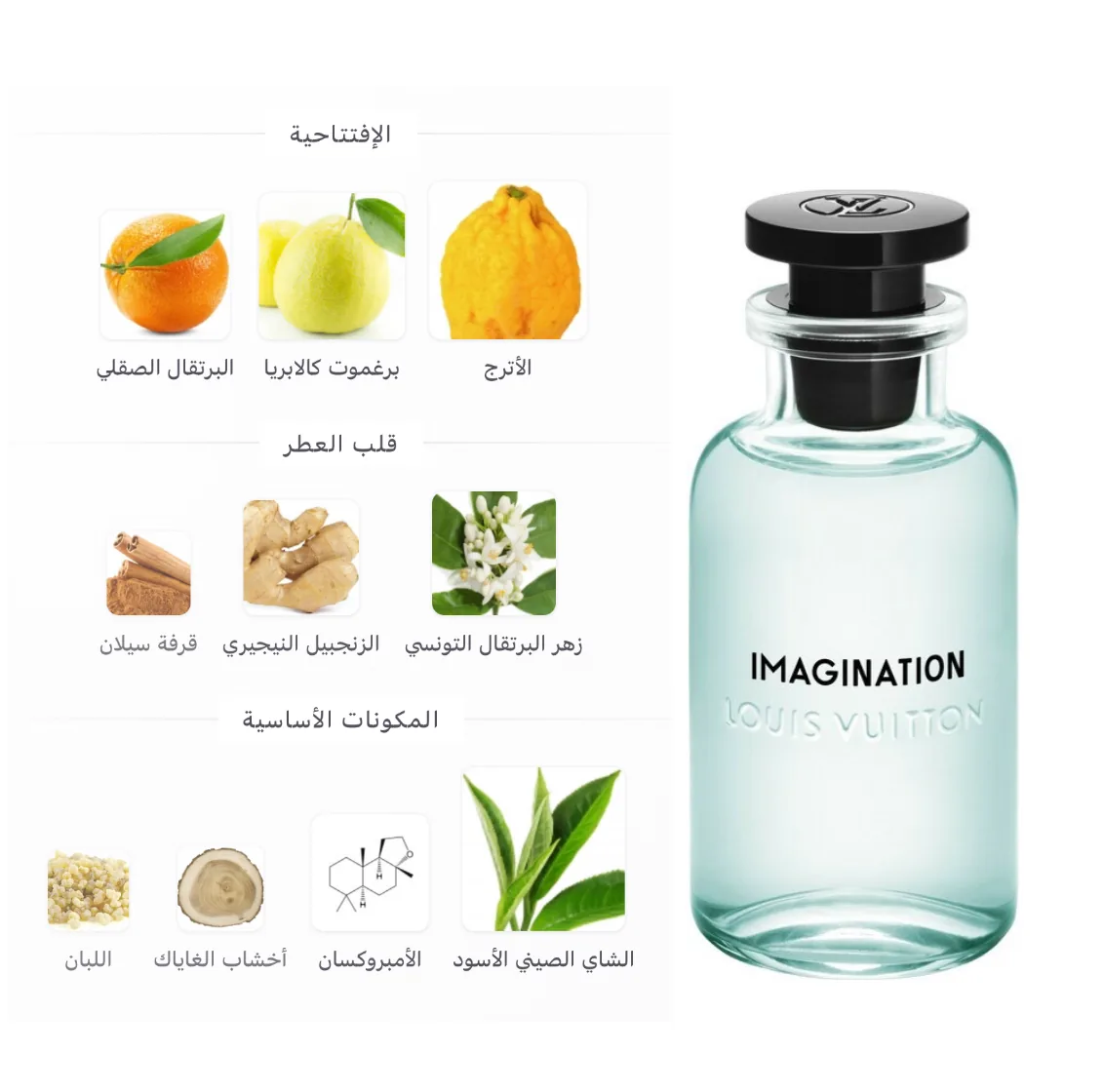 LV Imagination